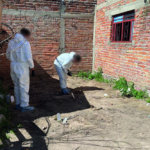 image-41